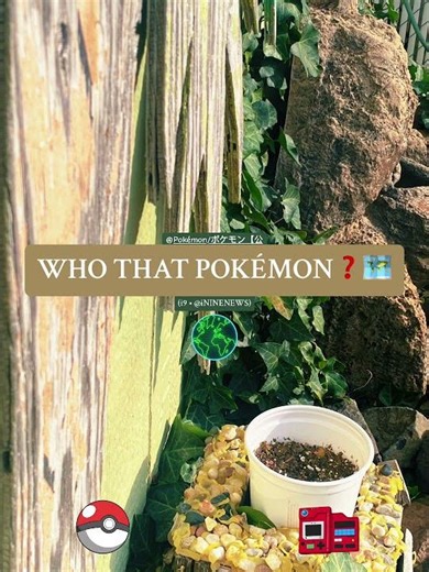 WHOS THAT #POKÉMON❓🗺️ • #pokemonsnap #whosthatpokemon #ispy #meme #ai #naturephoto #games #reel #i9
