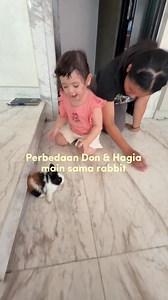 Don ketemu rabbit: “Kejar! Peluk! Angkat! Main terus!” 🐰😂 Hagia ketemu rabbit: “Hallo bunny…” sambil dielus pelan, ngobrol pakai bahasa bayi, terus senyum-senyum sendiri. 🥹🤍 Satu energinya kayak lagi ikut lomba lari. Satunya lagi kayak lagi healing sama sahabat baru. Beda karakter, beda cara menunjukkan sayang… tapi sama-sama bikin hati meleleh. 🐰❤️
