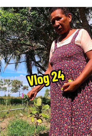 Vlog 24 | pet loss , sunset , family, dogs , grief ..