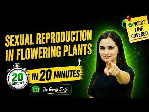 Sexual Reproduction in Flowering Plants | 20-Minute Rapid Revision | Re NEET 2026 | Dr Gargi