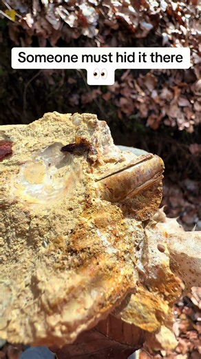 Fossil belemnite 🦑 #nature #fossil #fossilhunting #geo #paleontology