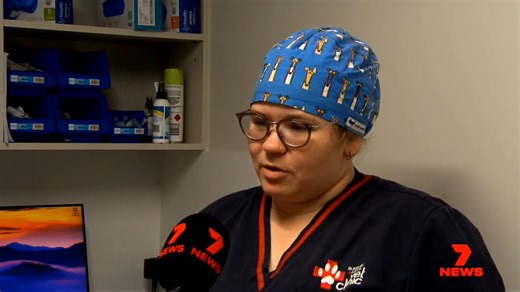 Hot temperatures are poised to swallow our state once again this summer and vets are warning of pets in peril if the proper precautions aren't taken. They're encouraging pet owners to learn dog-first-aid. | 7NEWS Regional WA