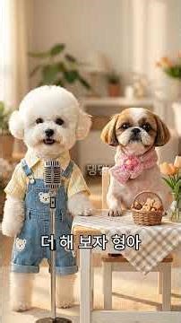 Seori's Friend Invitation Interview: Choco Hyung #DoggyNews #PuppyStory
