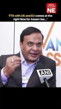 'FTA with UK and EU comes at the right time for Assam tea...', says Himanta Biswa Sarma
