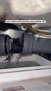 Holiday Sale is LIVE! : Up to 40% OFF + Free Gifts! This Holiday...