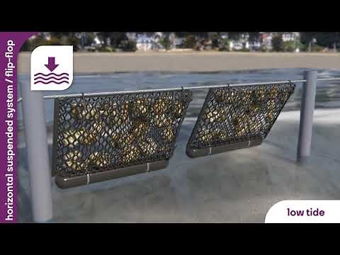 Horizontal suspended system for Oyster farming - Intermas