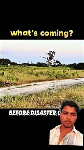 Jungle ka Raja isi lekar Tay. #musicvideo #newsong