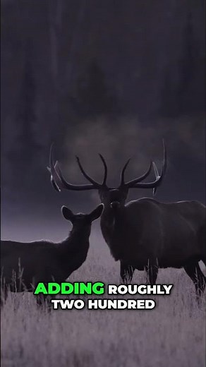 Grand Teton National Park, Wyoming's Stunning Natural Beauty!