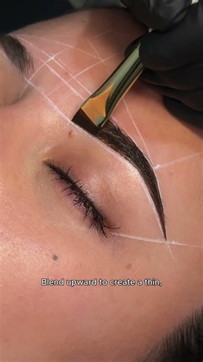 How To Apply Stain Hybrid Dye by Brow Code