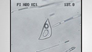 Water-salt systems: on heating: Salt melting in a saturated inclusion