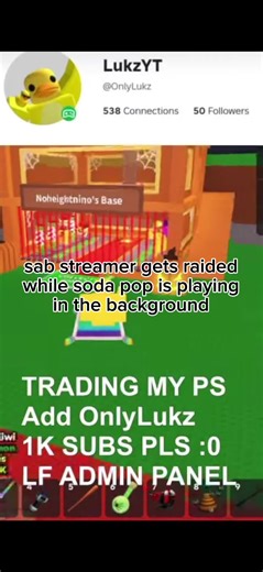 Streamer Raided by Reemo Server