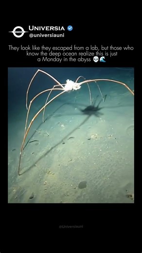 Why the Deep Ocean is Scarier Than Space