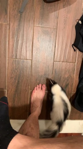 The Crunch: New Holland & Massey Ferguson Insights