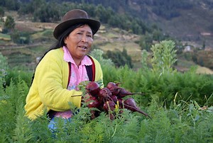 Agricultura en Bolivia: lo que aún no sabes sobre esta actividad económica