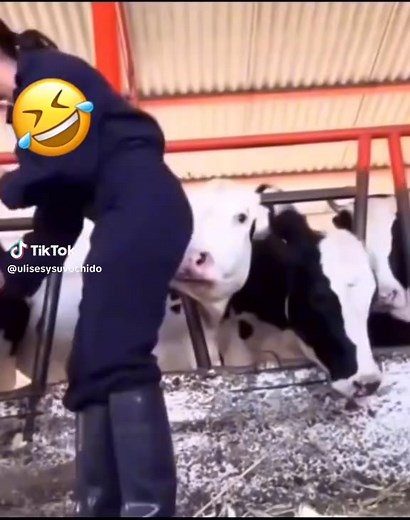 😁😂🤣🤭 | Pepe Mix