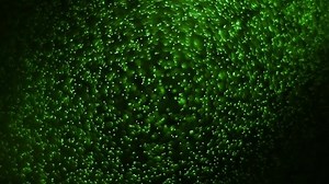 Abstract Simple Green Particles Background Stock Footage Video (100% Royalty-free) 1072680671 | Shutterstock