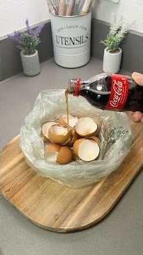 Coke + Eggshells = Restaurant Clean Pans #Genius #Hack