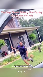Dog Chases Delivery Man, Forces Him to Flee for Help