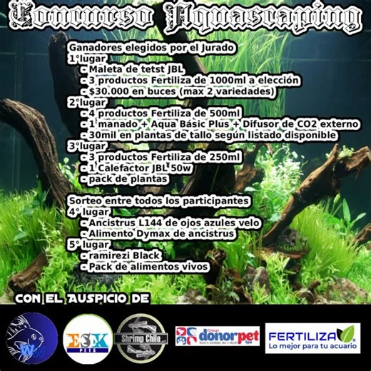@shrimp_chile | 🚨Concurso Aquascaping 🚨 Tenemos muchos premios y de la mejor calidad🥳 ‼️Bases para participar‼️ Paso 1️⃣ - Sigue a las cuentas de los... | Instagram