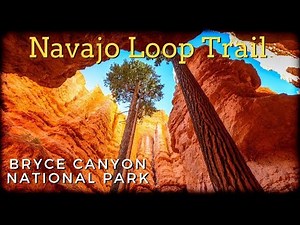 Navajo Loop Trail | Bryce Canyon National Park