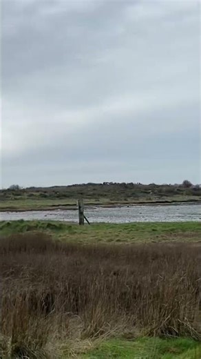 The Inland Sea, Nature’s Masterpiece! #thewatersedge #coastal #anglesey