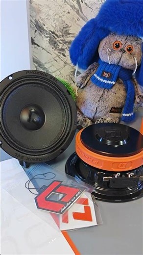 Громкие и качественные эстрадные динамики DL Audio Phoenix SQL165