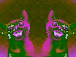 Preview 2 Numa Cat MIDI Effects Exo^3