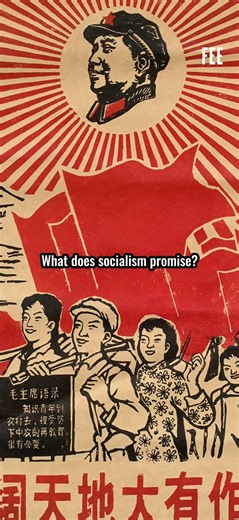 The Reality of Socialist Promises