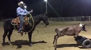 19K views · 323 reactions | Heeling is all about timing, position, and patience. Chad Mathes Roping talks about how to develop your patience to help you be successful when your timing and position may be a bit off. #HOMProTeam #WisdomWednesday #WesternWednesday | Smarty Rodeo | Facebook