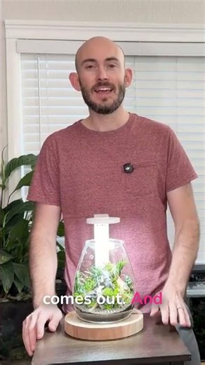 I Made a Mini Japan in a Jar!