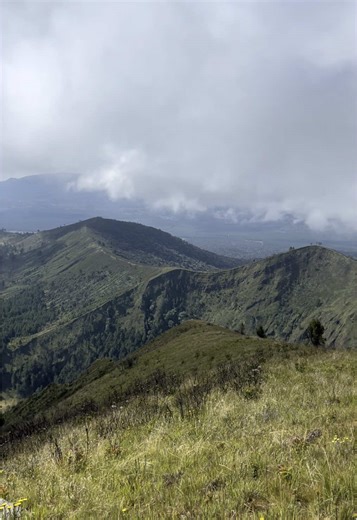 petermasue on TikTok