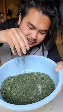 How to make Stinging Nettle Tea