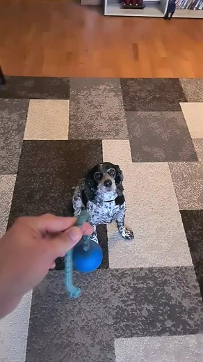 Delta Plan on TikTok