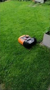 Fonctionnement du Robot Worx Landroid M WR141E avec périmètre