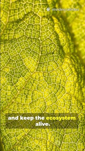 Fun facts about plants!