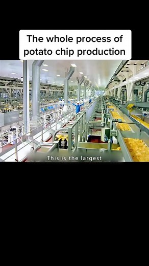 Potato Chip Production Process Revealed