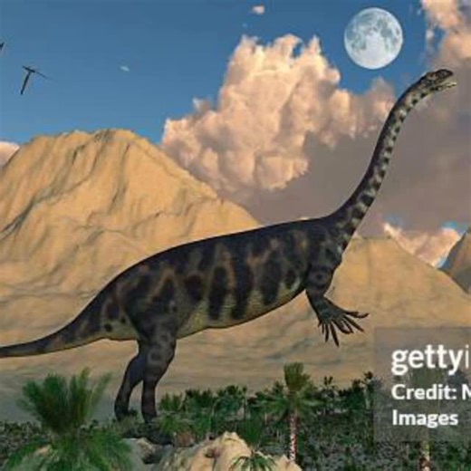 John (Not My Real Name) Dinosaur on Instagram: "MASSOSPONDYLUS Massospondylus (/ˌmæsoʊˈspɒndɪləs/ MASS-oh-spon-di-lus[1]) is a genus of sauropodomorph dinosaur from the Early Jurassic of southern Africa. It was described by Richard Owen in 1854 from remains discovered in South Africa, and is thus one of the first dinosaurs to have been named. The name Massospondylus means ‘longer vertebra’, alluding to what Owen identified as tail vertebrae; these vertebrae are now known to be from the neck. Alt