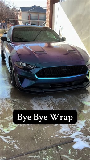 pony_project_16 on TikTok