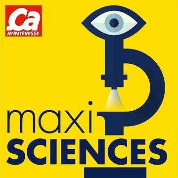 Qui a inventé l'ampoule ?