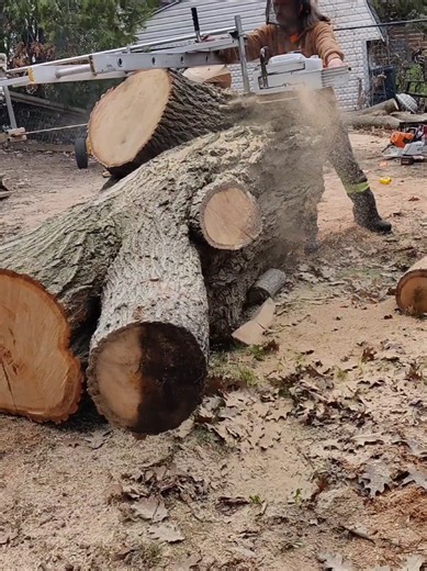 Some will be disappointed by this video. If you were here to see this log being milled, sorry! This time I'm milling to make myself a cutting board. Maybe a few. When I flipped over that top part, I instantly saw it on my counter. So I kept it to resaw it for later. I finally got to it. It's not big but it's big enough for what I want! Look at that grain pattern. The wood looks wavy but it's completely flat. Pretty cool. milled with @Granberg International ripping chain, 64