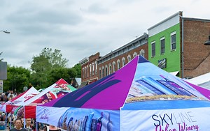 Canopy Tents 101 - Stouse