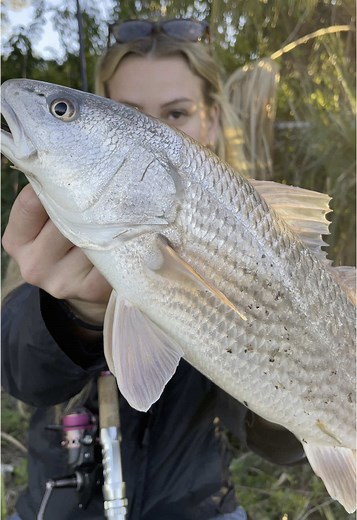 Sunset Fishing: Catching Redfish in Florida