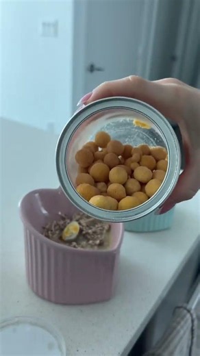 Obsessed with cat munchies #catsoftiktiok #kittensoftiktok... #Shorts #mittenmobdiaries