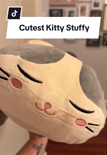 Softest & Fluffiest Kitty Stuffy #stuffedanimal #kittyplush #catplush #toddlertok #toddlergiftideas
