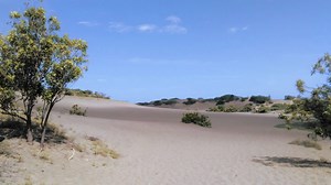 Sandboarding en República Dominicana (Dunas de Bani) - sandboarding