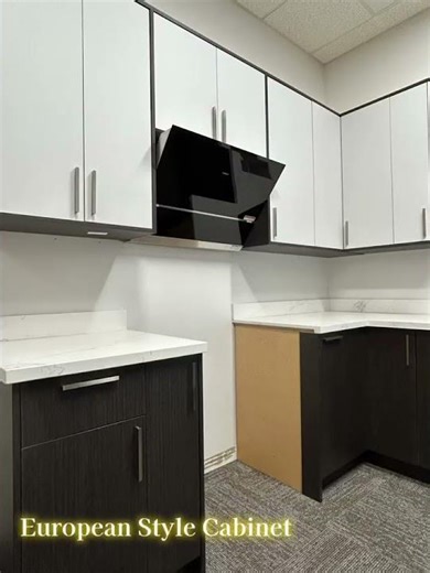 European-Style Cabinet makes your dream kitchen !!