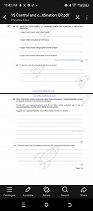 17. (a) (i) Identify the precise location in a cholinergic syna... | Filo