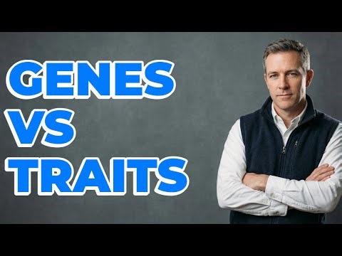 Why Are Genotype And Phenotype Not The Same?