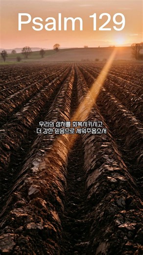 시편129편 하나님 말씀 묵상 기도 #기도 #시편 #아침기도 #믿음
