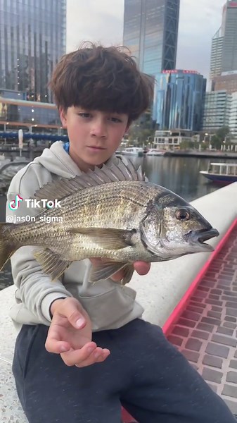 New Fishing Techniques: Catch More Fish with These Tips